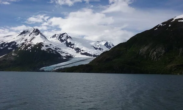 Lodowiec Portage Puszczy Chugach Alasce Czerwca 2016 — Zdjęcie stockowe