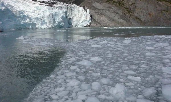 Glaciar Portage en el Bosque Nacional Chugach de Alaska. junio 13, 2016 — Foto de Stock