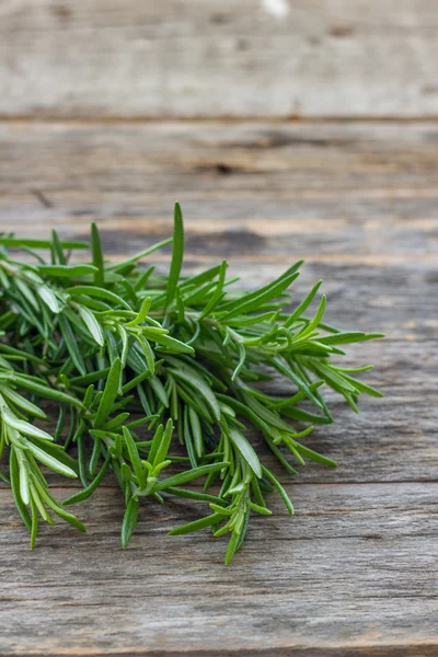 Rosemary Royalty Free Stock Photos