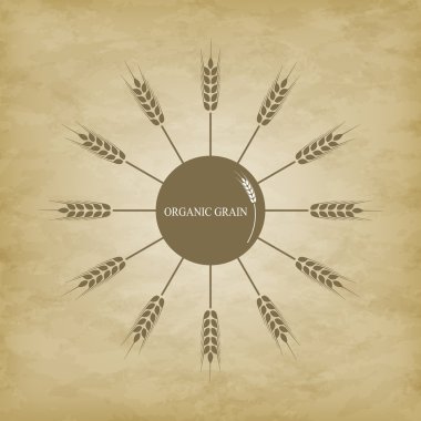 simge kulakları buğday