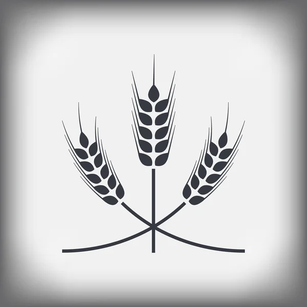 Spikelets buğday — Stok Vektör