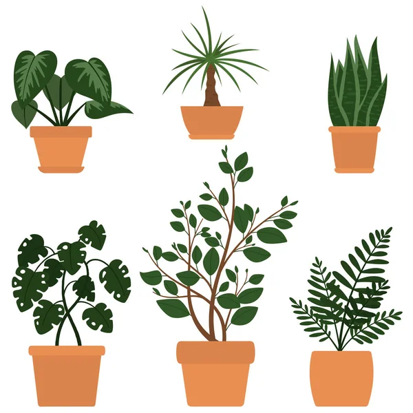Комплект из шести иллюстраций милых мультяшных растений в горшках. Вектор для карт, приглашений, наклейки, баннера Стоковый вектор