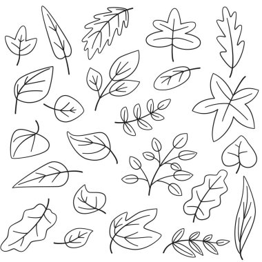 Farklı yapraklar satır vektör kümesi