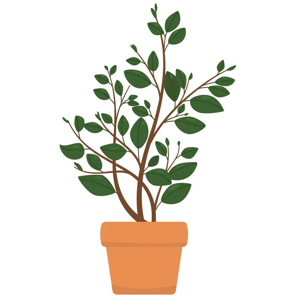 Leuke cartoon home plant in klei pot. Vectorillustratie — Stockvector