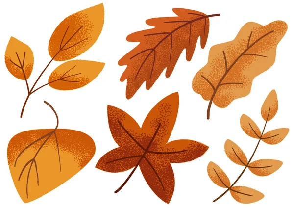 Autumn leaves with texture set, isolated vector illustration — Vector de stock