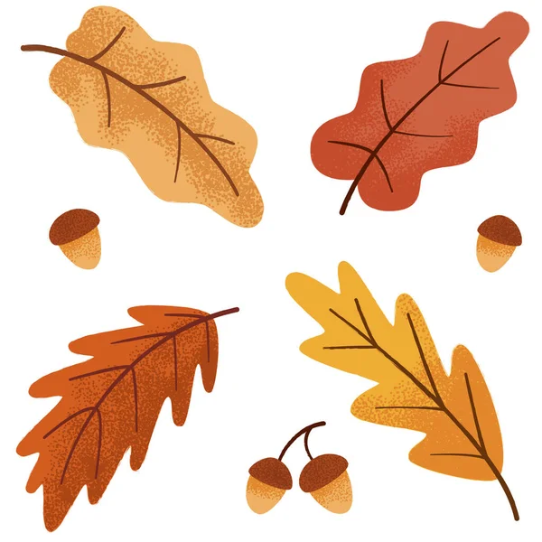 Conjunto de roble botánico de otoño, hojas y bellota con textura — Vector de stock