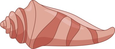 dalgalı çizgileri olan konik uzun sarmal kabuk.