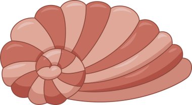 kıvrımlı sarmal çizgi film kabuğu kıvrımlı.