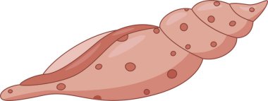 Noktalı kıvrımlı uzun sarmal çizgi film kabuğu.