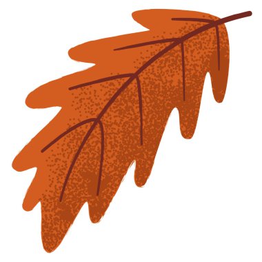 Autumn oak leaf with texture isolated on a white
