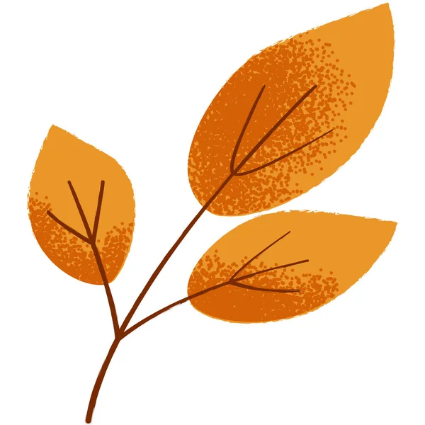 Hoja de otoño con textura aislada sobre un blanco — Vector de stock