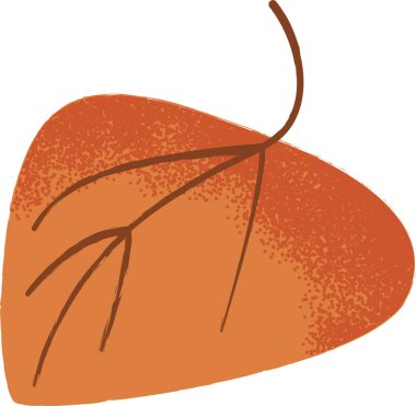 Autumn red leaf with texture isolated on a white