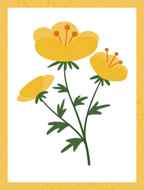 Postcard with wild buttercup in flat slyle
