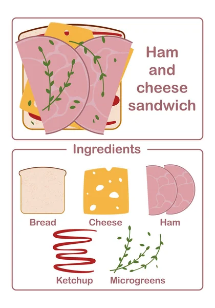 Sandwich-Zutaten Brot, Käse, Schinken und Salat — Stockvektor