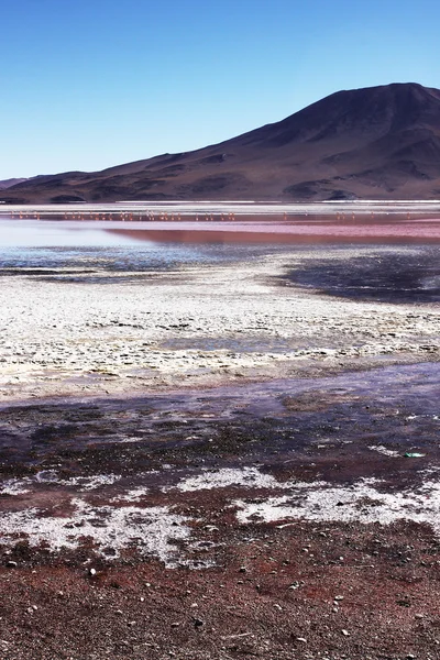 Salt lagoon in a desert