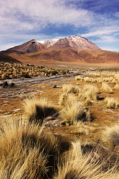 Bolivya Altiplano yüksek dağlarda. — Stok fotoğraf