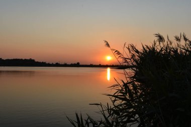 Sırbistan 'ın Backa Topola kenti yakınlarındaki Zobnatica gölünde gün batımı