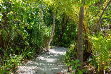 Mathiveri, Maldivler 'deki Tropik Plaj Cenneti