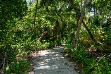 Mathiveri, Maldivler 'deki Tropik Plaj Cenneti