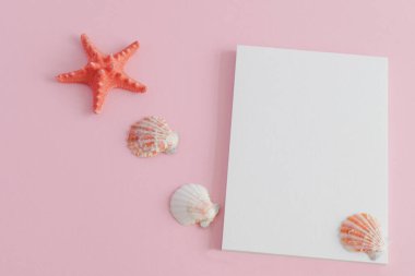 Pembe arka planda boş not defteri olan deniz kabukları ve deniz yıldızları.