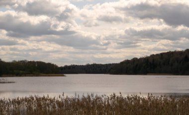 Gün batımı, kümülüs bulutlu gökyüzü. Orman gölü ağaçlarla çevrili. Manzara. Bahar geldi. Yatay fotoğraf. 