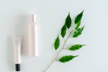 Beyaz arka plan ve yeşil yapraklarda kozmetik ürünleri için boş şişeler. Doğal kozmetik ve ekoloji konsepti. Model yap, metin için en üstteki görünümü kullan. Yatay fotoğraf.