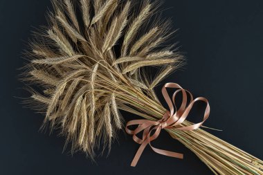 Hasat konsepti. Arpa tohumu kulakları koyu arkaplanda saten bir kurdeleyle bağlanmış. Yatay fotoğraf.
