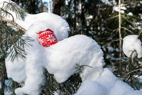 クリスマスのコンセプト ポストカード 白い雪のスプルースの枝には 飾り付きの赤いクリスマスツリーの装飾が掛けられています 横写真 — ストック写真