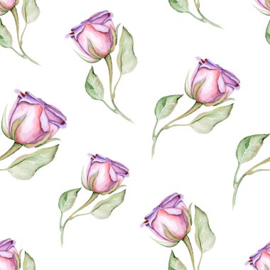 suluboya gül tomurcukları seamless modeli.