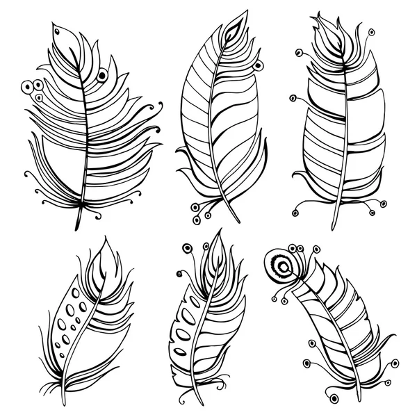 Ручной рисунок перьев с орнаментами — стоковый вектор