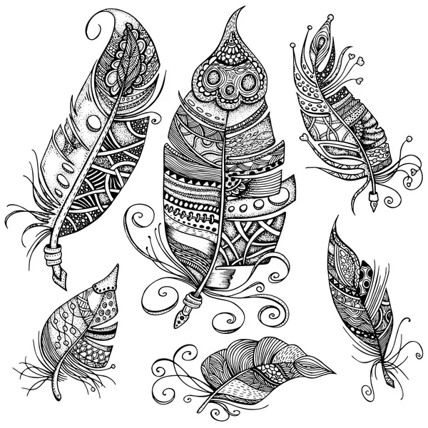 Dessin à la main art de plumes avec ornements — Image vectorielle