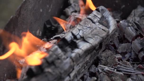 Close-up bonfire burning slow motion 240 fps — Stock Video