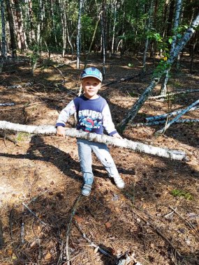 Ormanda bir çocuk huş ağacından büyük bir kütük topluyor.