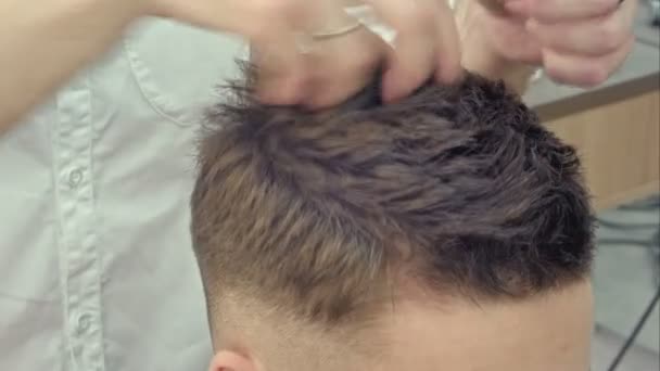 Homme chez le coiffeur, elle a fini la coupe — Video