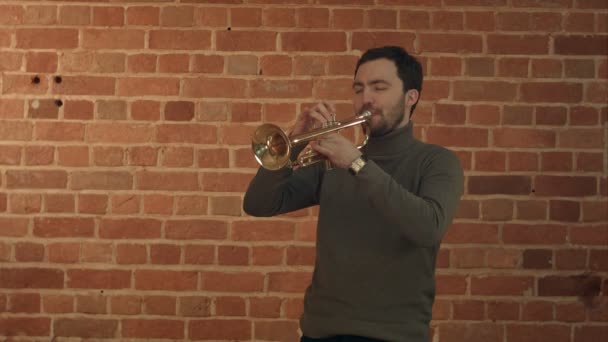 Musiker som spelar trumpet — Stockvideo