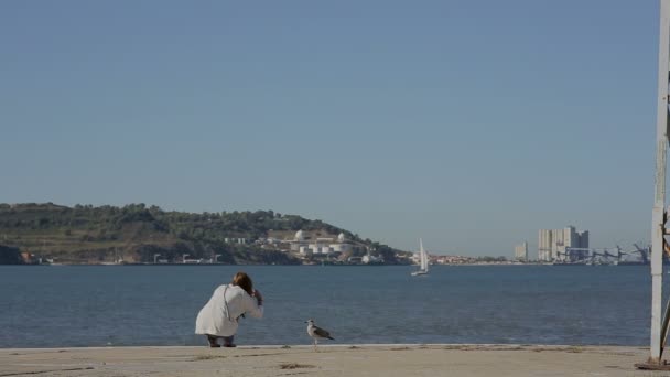 Chica jugando con gaviota de mar y mirando al río en portugal belem terraplén — Vídeos de Stock