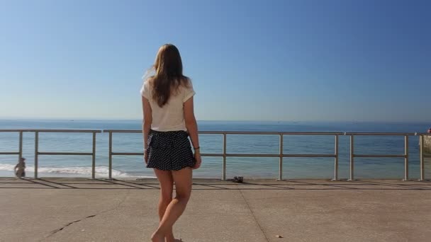 Bakifrån av en tankeväckande vacker ung flicka skådar havet på en strand på en sommarsemester, utomhus. I blå kjol — Stockvideo