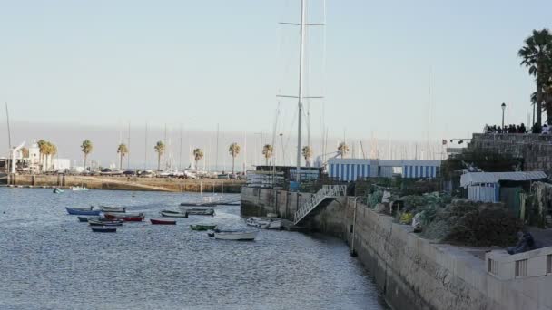 Cascais balık teknesi marina, akşam, balık ağları — Stok video