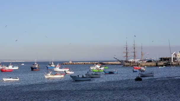 Barcos de pesca coloridos no belo porto de cascais em portugal — Vídeo de Stock