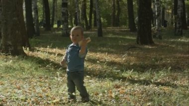 Sevimli çocuk cep telefonu ile konuşurken çalışır.