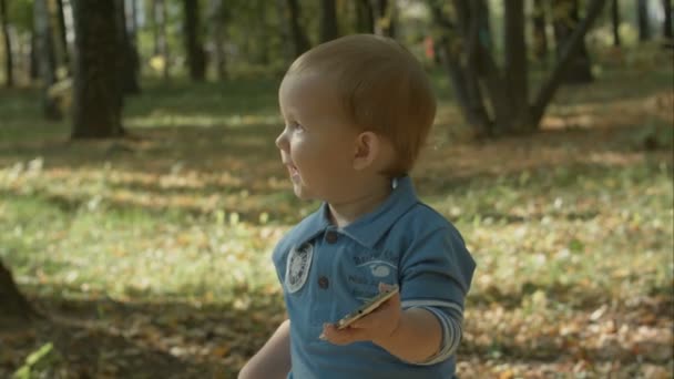 Niño pequeño usando teléfono inteligente en el parque de otoño . — Vídeos de Stock