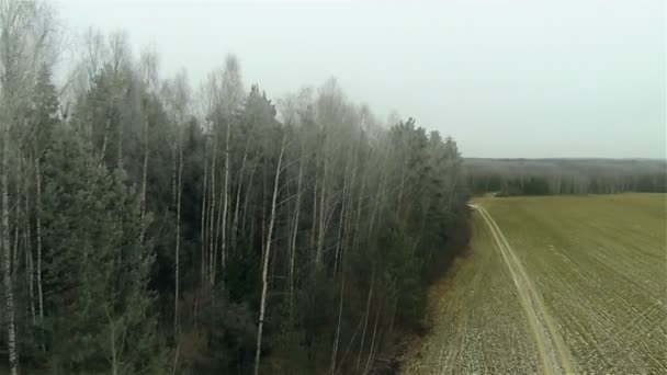 Donmuş orman alanı sınırı nın havadan görünümü ve yan yol, Rus sonbaharı — Stok video