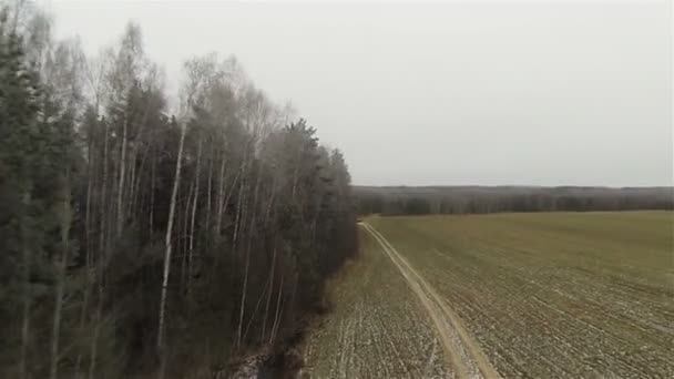 Frontera de campo de bosque aéreo, carretera en el campo, otoño ruso, primera nieve, tranquilidad — Vídeos de Stock