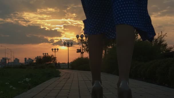 Giovane coppia a piedi nel parco autunnale durante il tramonto . — Video Stock