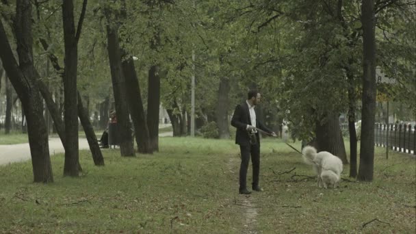 Бизнесмен спокойно гуляет с большой белой собакой в парке — стоковое видео