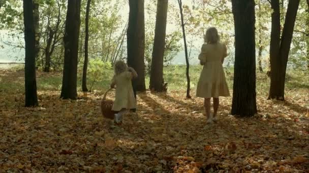 愉快的微笑的母亲和孩子一起与黄色枫叶在秋天天 — 图库视频影像