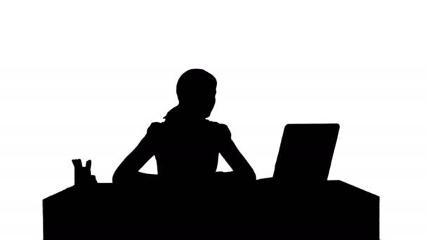 Silhouette Woman Is Working On The Laptop Stock Video