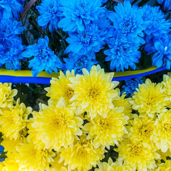 แถบสีฟ้าและสีเหลืองที่มีดอกไม้สีเป็นธงยูเครน ร่วม — ภาพถ่ายสต็อก