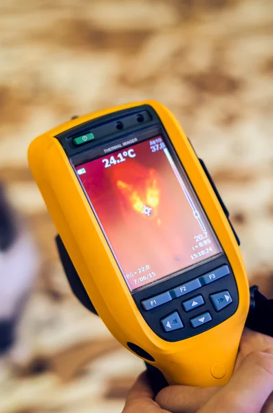 Kedi Thermogramm. Evde beslenen hayvan kızılötesi incelenmesi