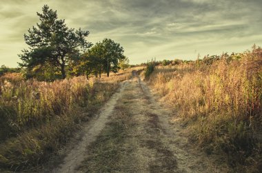 Kırsal yol alanında sonbahar